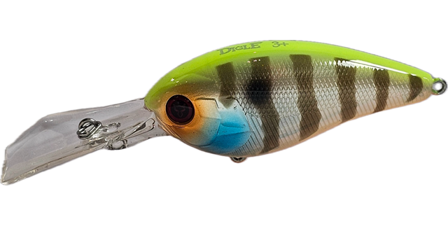 Jackall Digle 2+
