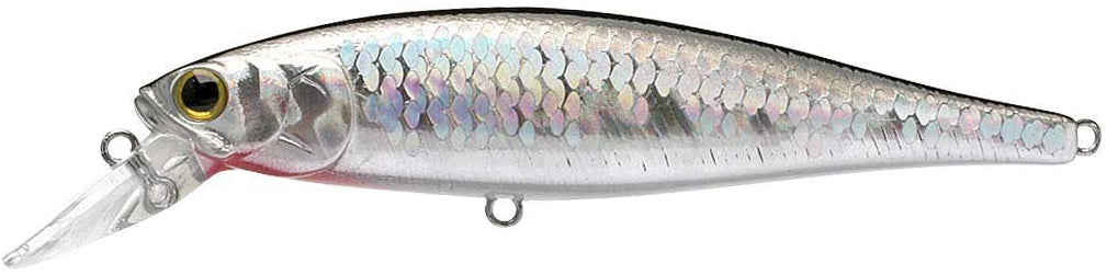 Lucky Craft Pointer 100sp Barra