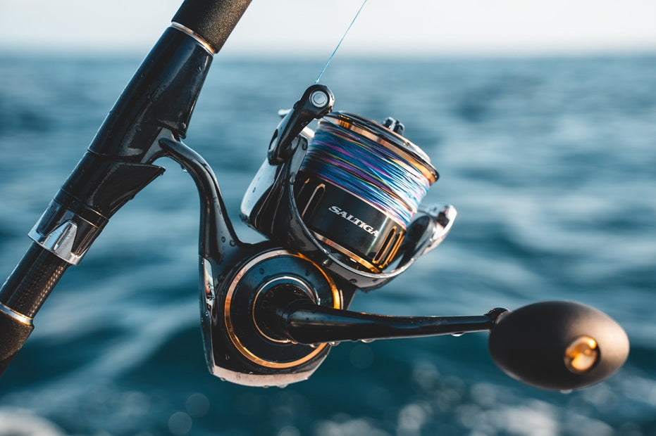Daiwa Saltiga 2025