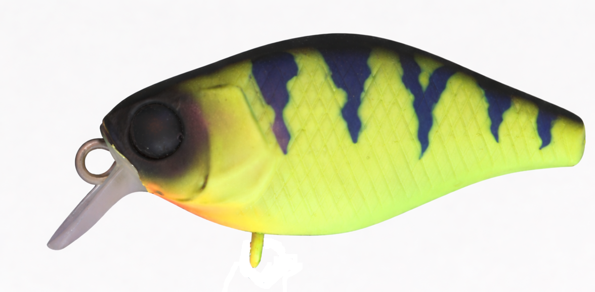 Jackall Chubby Magnum 50F