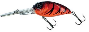 Molix Sculpo XD Crank