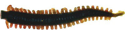 Berkley Gulp 2" Sandworm
