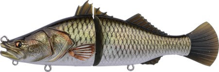 Bone Espybarra 176F