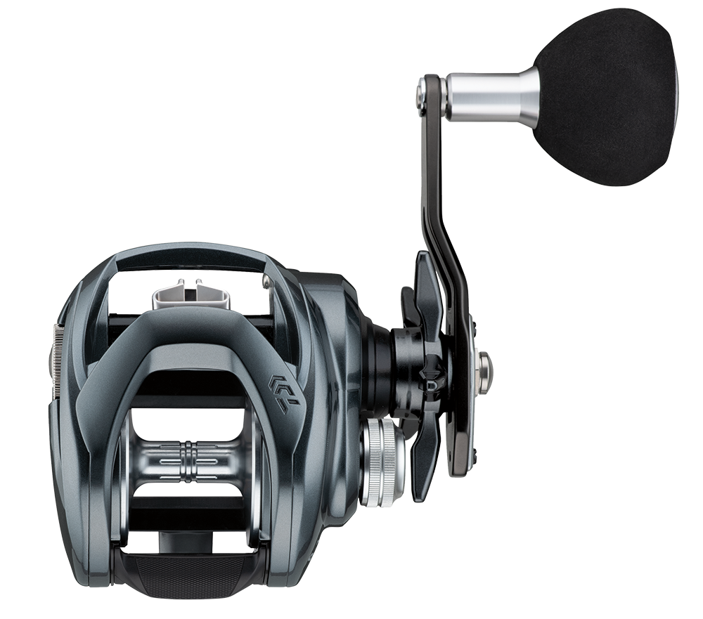 Daiwa Lexa TW