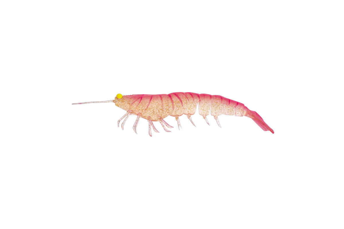 Irukandji Megaprawn 100mm