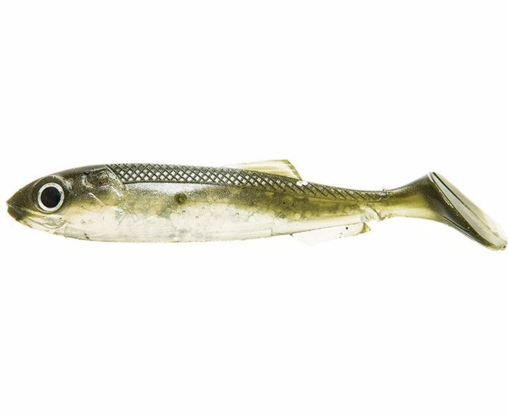 Molix RT Shad 3.5"