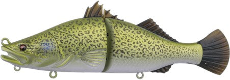 Bone Espybarra 176F