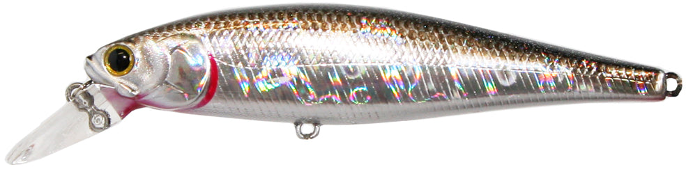 Lucky Craft Pointer 100sp Barra