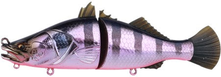 Bone Espybarra 176F