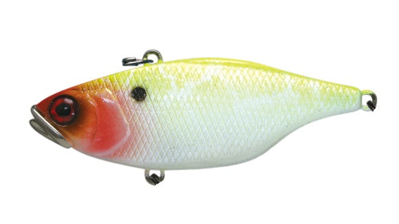 Jackall TN50