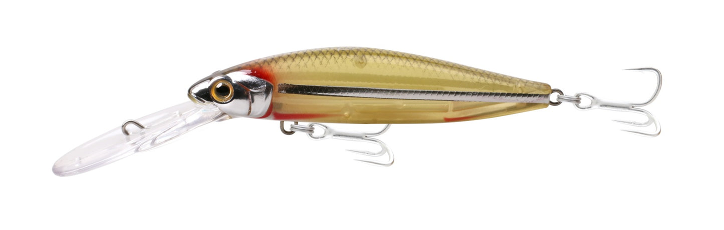Samaki Redic MS90