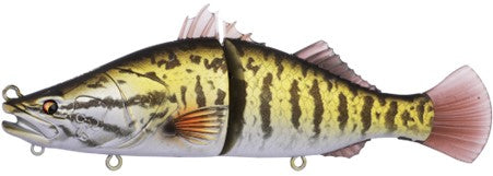 Bone Espybarra 176F