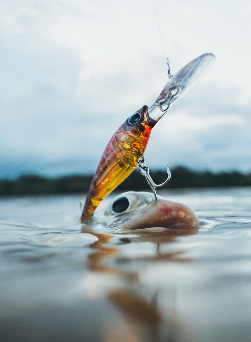 Lure Products