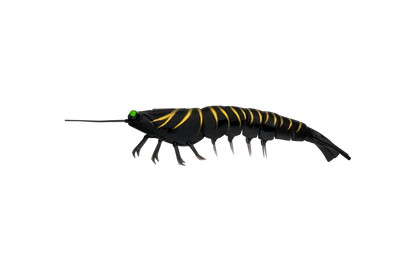 Irukandji Megaprawn 130mm
