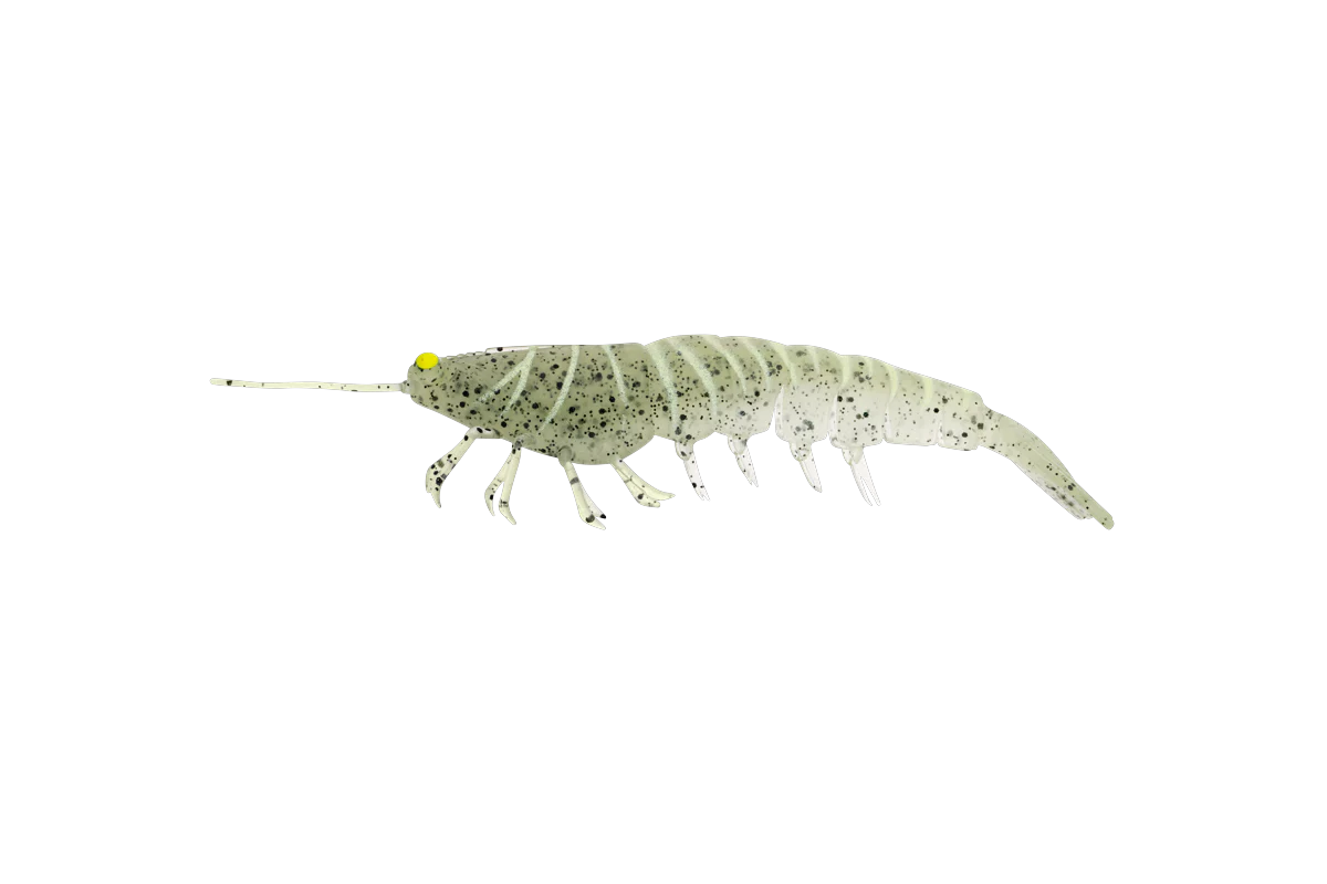 Irukandji Megaprawn 130mm