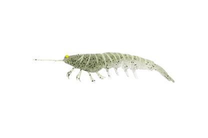 Irukandji Megaprawn 130mm