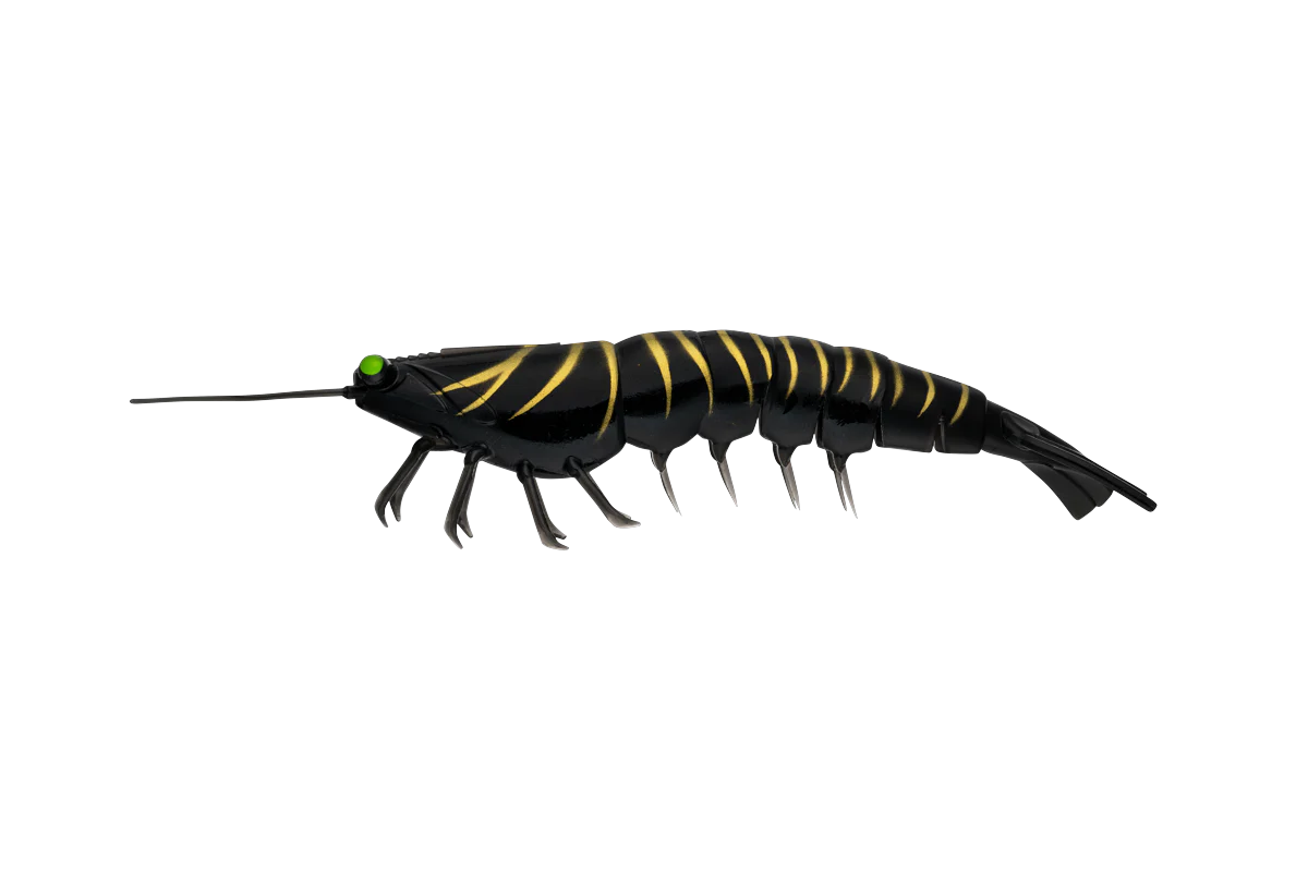 Irukandji Megaprawn 165mm