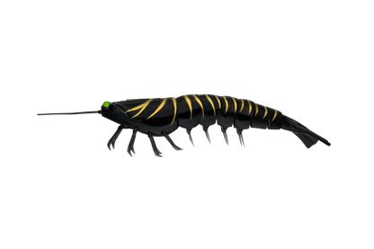 Irukandji Megaprawn 165mm