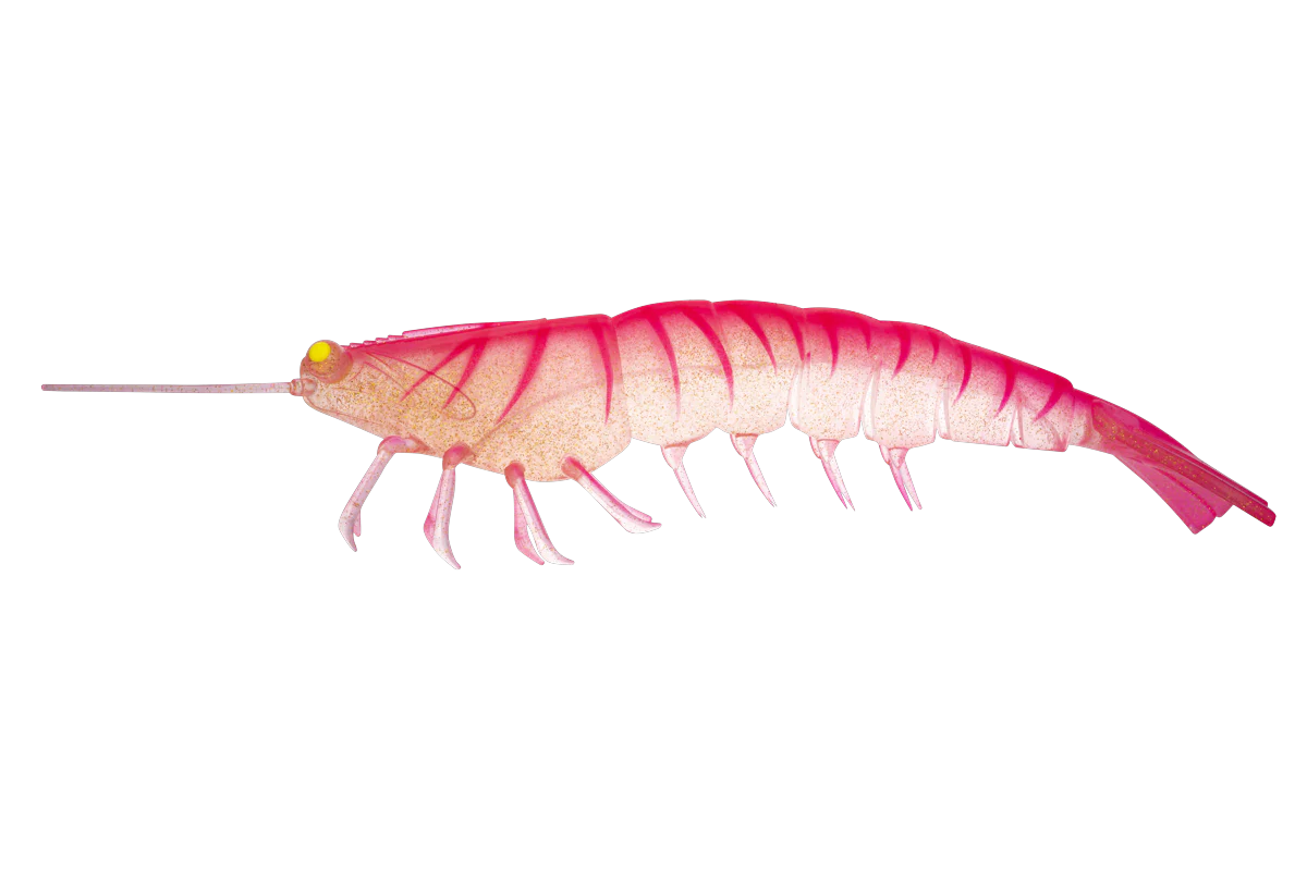 Irukandji Megaprawn 210mm