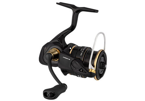 Daiwa Revelry FC MQ 2025