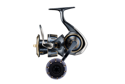 Daiwa 23 Saltiga