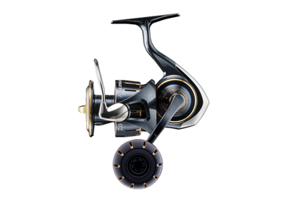 Daiwa 23 Saltiga