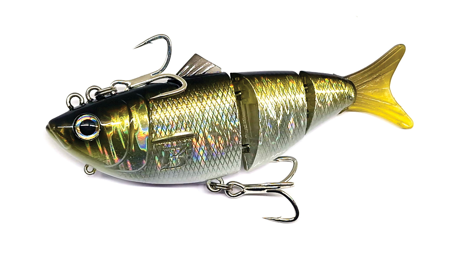 Barambah Bony Shad X