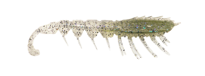 Rapala Crush City The Imposter 2.5"