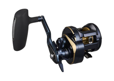 Daiwa Saltiga 300 2025