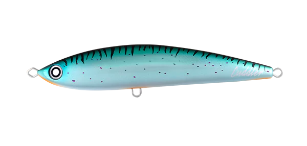 Daiwa Saltiga Cuddler