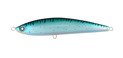 Daiwa Saltiga Cuddler