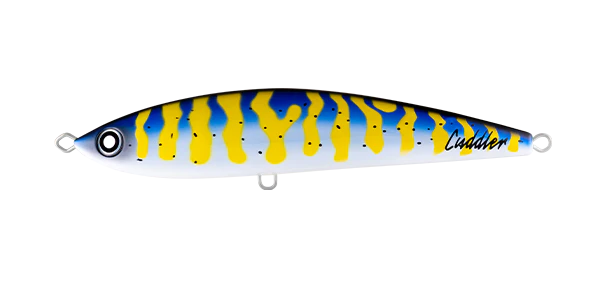 Daiwa Saltiga Cuddler