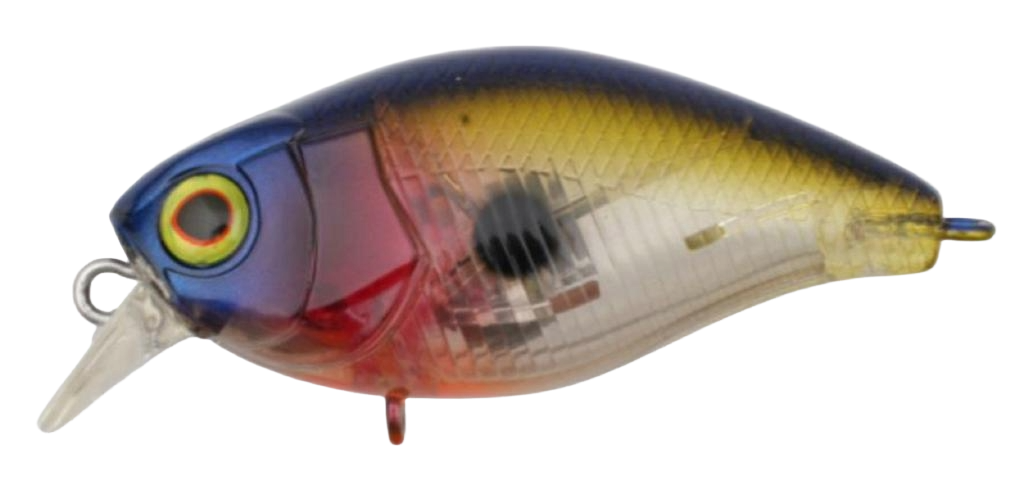 Jackall Chubby Magnum 50F