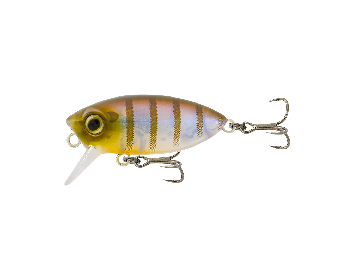 Samaki Redic Footy Bug SF40