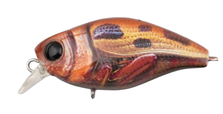 Jackall Chubby Magnum 50F