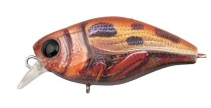 Jackall Chubby Magnum 50F