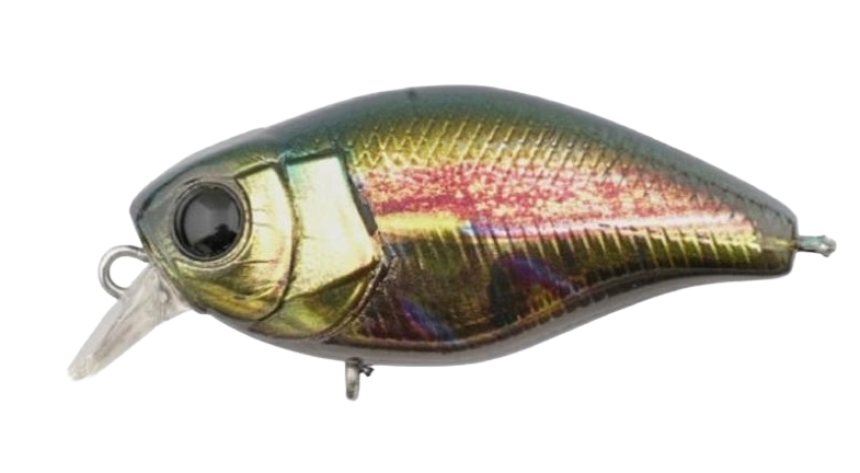 Jackall Chubby Magnum 50F