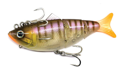 Barambah Bony Shad X