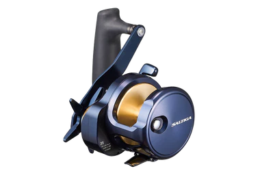 Daiwa Saltiga 35 (25)