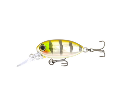 Samaki Redic Beetle Bug MF32