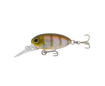Samaki Redic Beetle Bug MF32