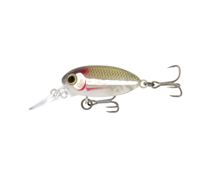 Samaki Redic Beetle Bug MF32
