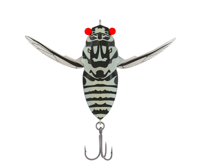 Samaki Redic Cicada 42mm