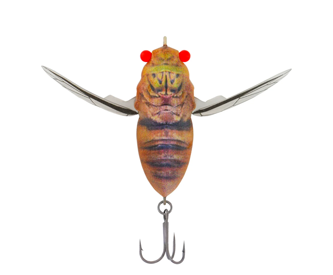 Samaki Redic Cicada 42mm