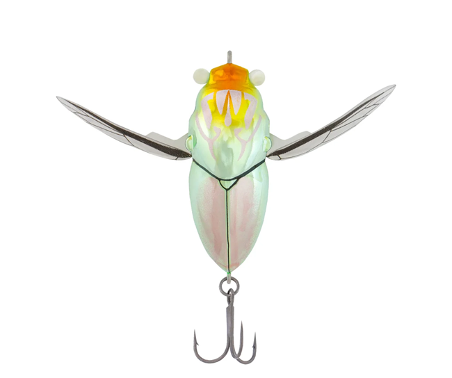 Samaki Redic Cicada 42mm