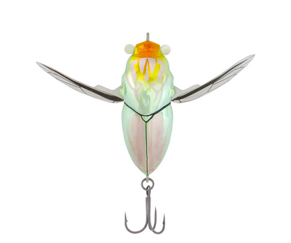 Samaki Redic Cicada 42mm