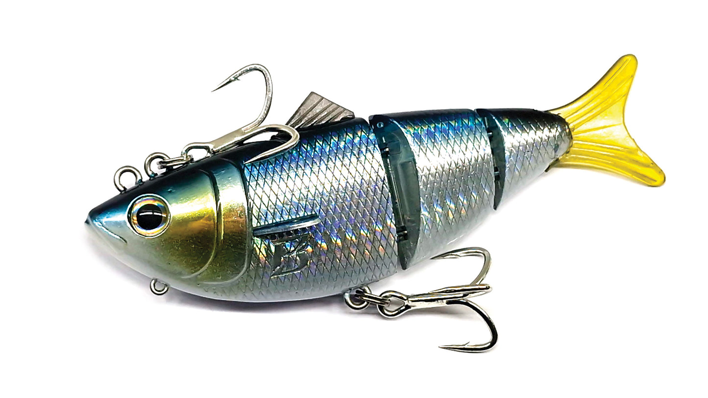 Barambah Bony Shad X