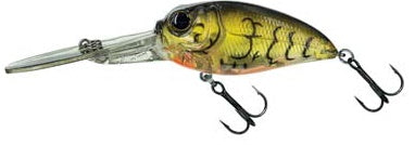 Molix Sculpo XD Crank