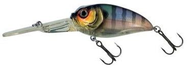 Molix Sculpo XD Crank