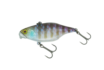 DStyle Type D TN50 Rattle Suspending